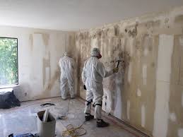 Mold Documentation for Insurance Claims in Bethany, OR